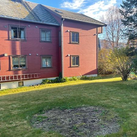 Aurora Tromso Apartment Bagian luar foto