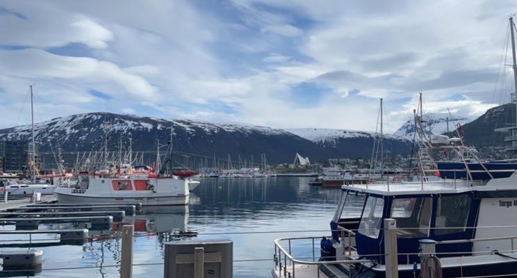 Aurora Tromso Apartment Bagian luar foto