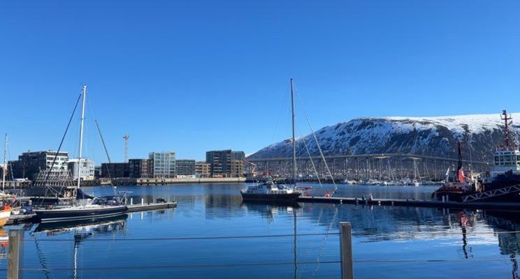 Aurora Tromso Apartment Bagian luar foto